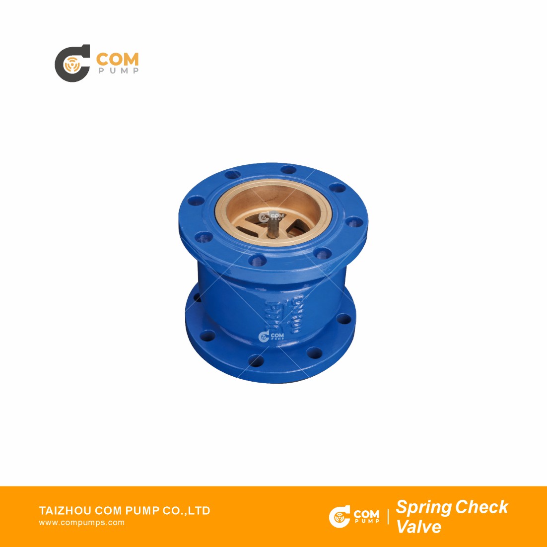 Spring Check Valve