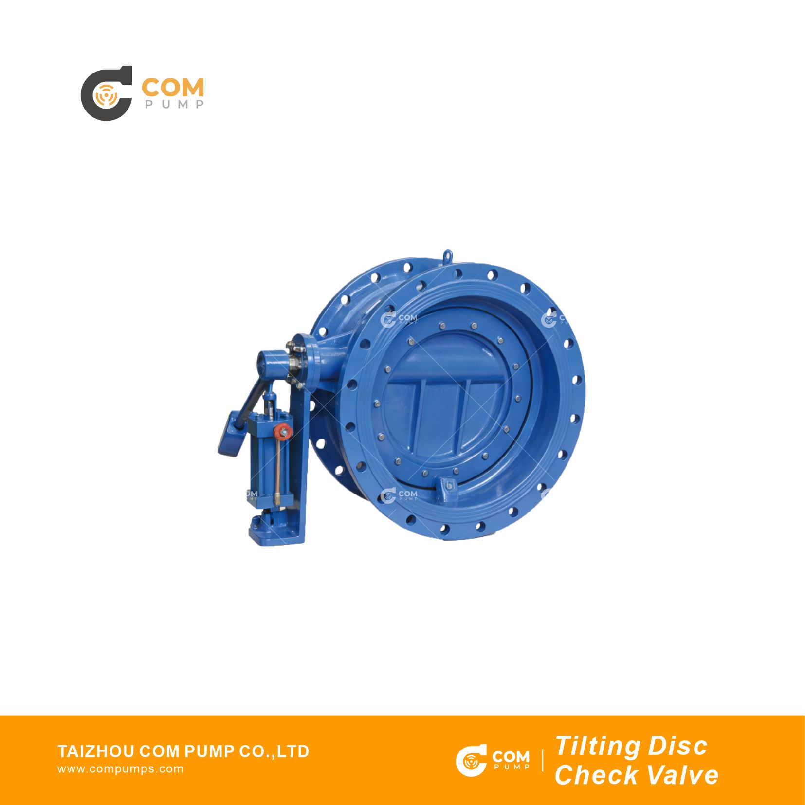 Tilting Disc Check Valve